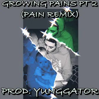 Growing Pains, Pt. 2 (Pain Remix) by Decibel