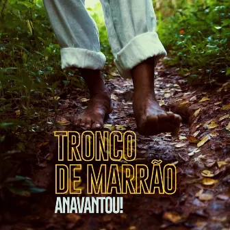 Tronco de Marrão by Anavantou!