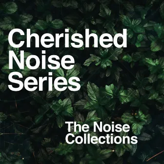 Cherished Noise Series by The Noise Collections