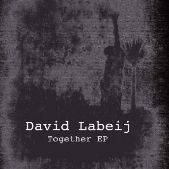 Together EP by David Labeij