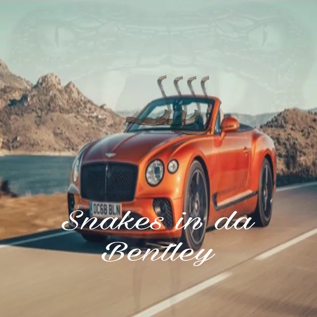 Snakes In Da Bentley