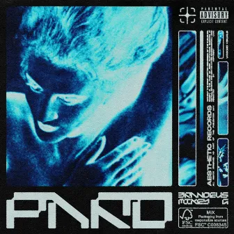 Paro by Aesthetics Records