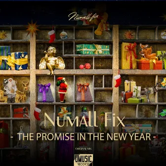 The Promise In The New Year by Numall Fix