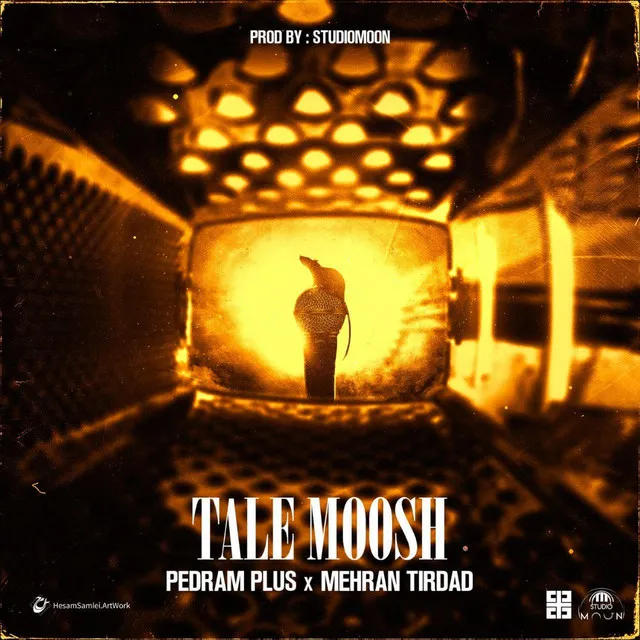 Tale Moosh