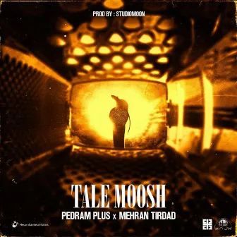 Tale Moosh by Mehran Tirdad