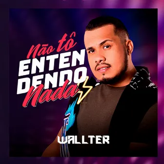 Não Tô Entendendo Nada by Wallter Gommes