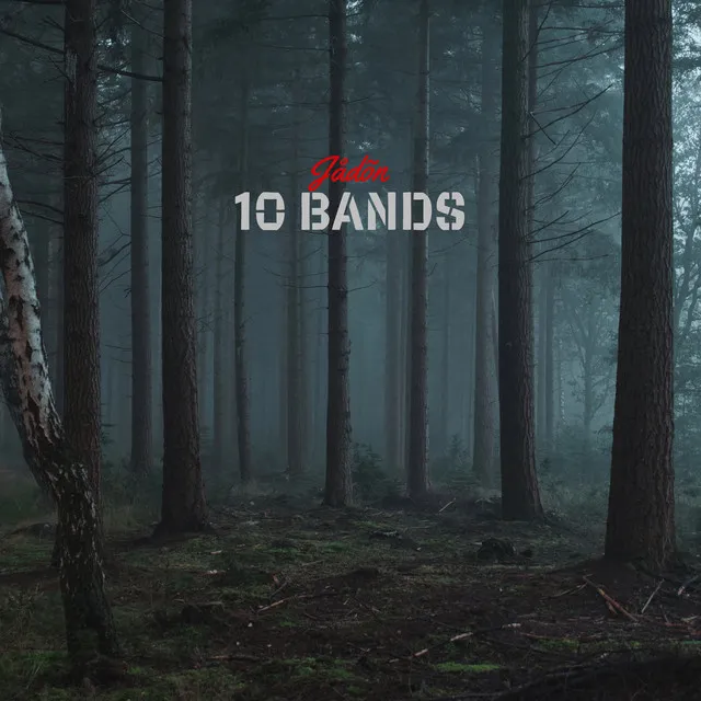 10 Bands