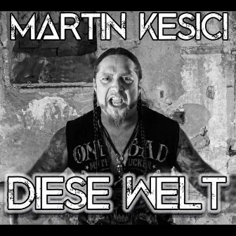 Diese Welt by Martin Kesici