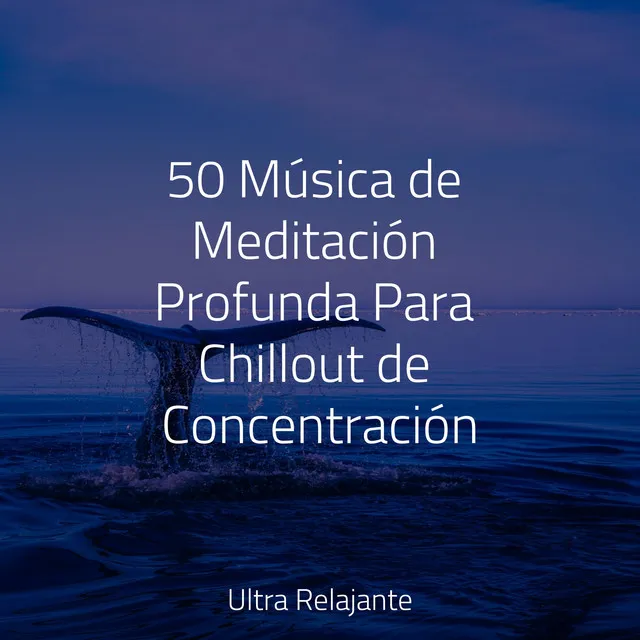 50 Música de Meditación Profunda Para Chillout de Concentración