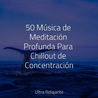 50 Música de Meditación Profunda Para Chillout de Concentración by Relajar