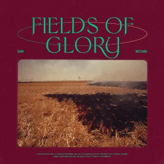 Fields of Glory by Sam McCabe