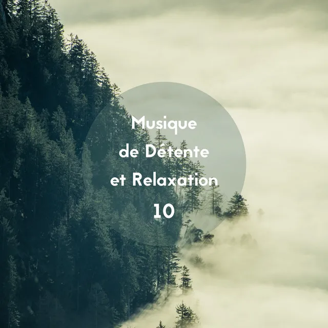 Musique de détente et relaxation, Vol. 10