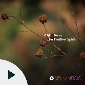 The Positive Spirits by Chill Dave