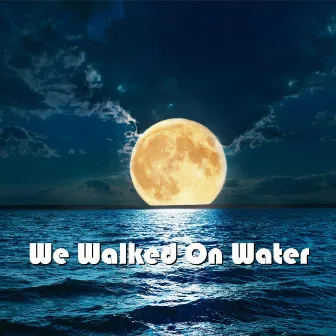 We Walked on Water by Charles Harnach