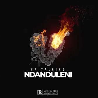 Ndanduleni by VP Talking