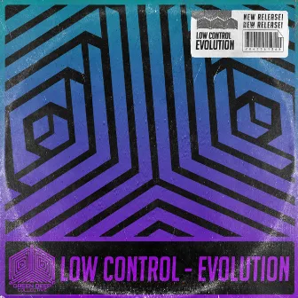 Evolution by Low Control