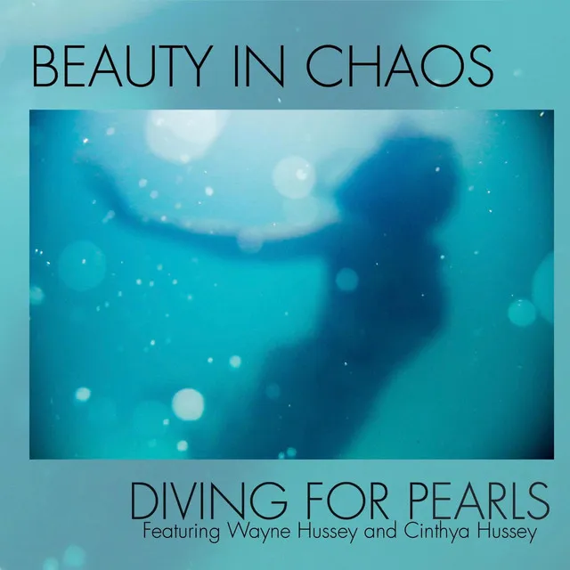 Diving For Pearls - Tim Palmer - Single Mix