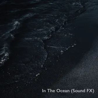 Wave Sounds From Scandinavia by 