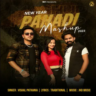 New Year Pahadi Mashup 2023 by Unknown Artist