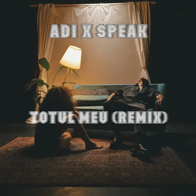 Totul meu (Remix)