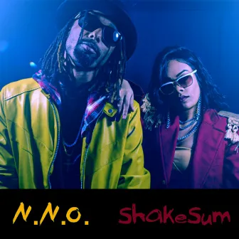 ShakeSum by N.N.O.