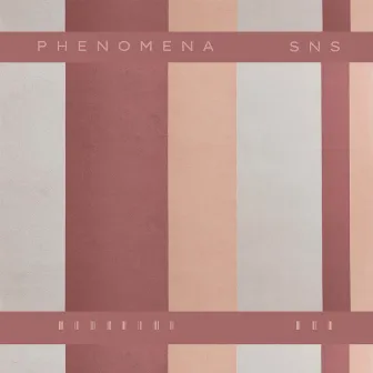 Phenomena by SNS