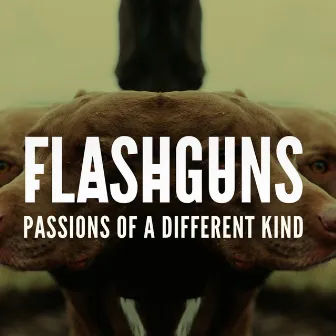 Passions of a Different Kind by Flashguns