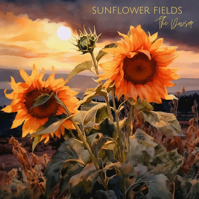 Sunflower Fields