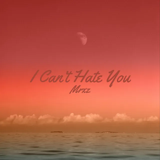 I Can't Hate You