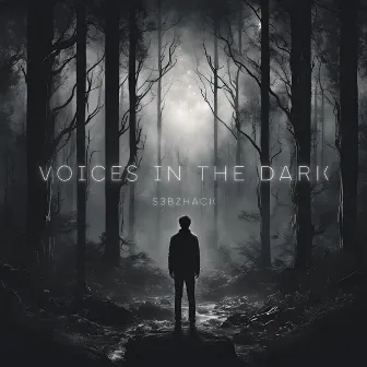 Voices In The Dark by s3bzHack