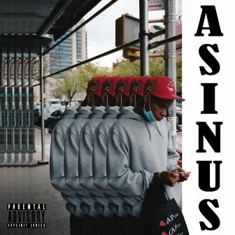 Asinus by Swizzy