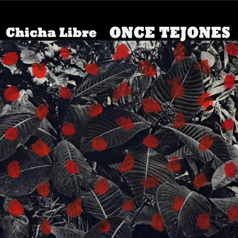 Once Tejones by Chicha Libre