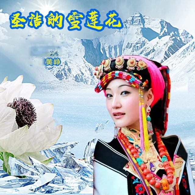 圣洁的雪莲花