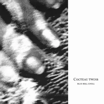 Blue Bell Knoll by Cocteau Twins