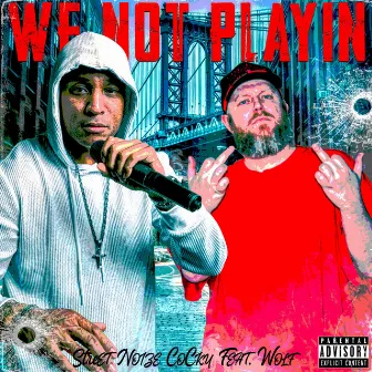 We Not Playin' by Street Noize CoCky