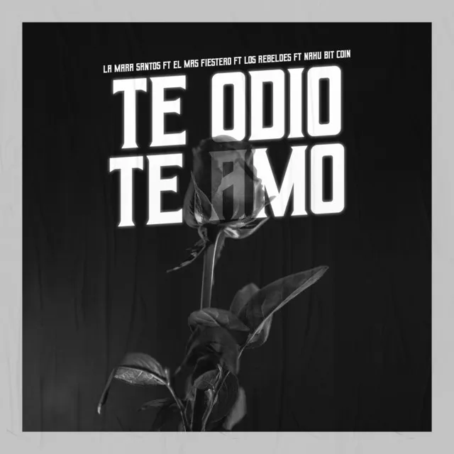 Te Odio Te Amo