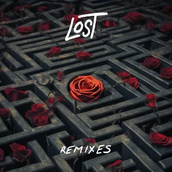 Lost Remixes by Hans Glader