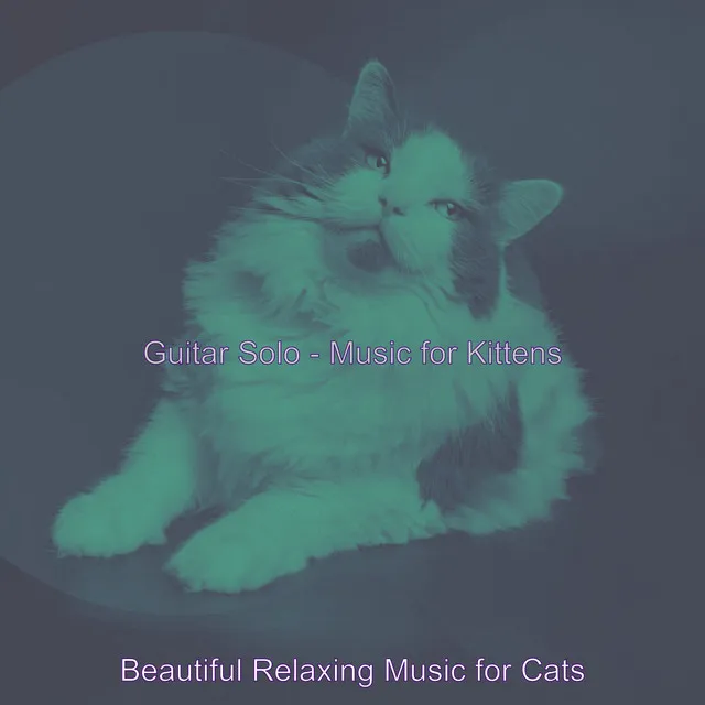 High-class Moods for Calm Cats