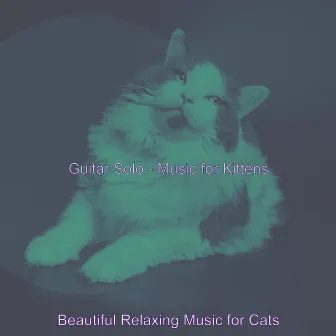 Guitar Solo - Music for Kittens by 