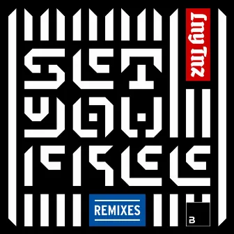 Set You Free (Remixes) by Roy Dest