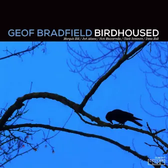 Birdhoused by Geof Bradfield