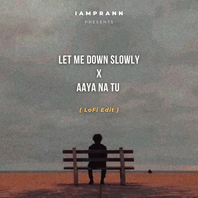 Let Me Down Slowly X Aaya Na Tu - LoFi