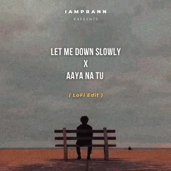 Let Me Down Slowly X Aaya Na Tu - LoFi by IAMPRANN