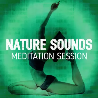 Nature Sounds Meditation Session by Nature Sounds Meditation