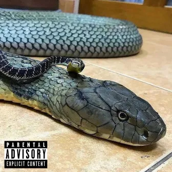 Snake Shit by Trailglocko