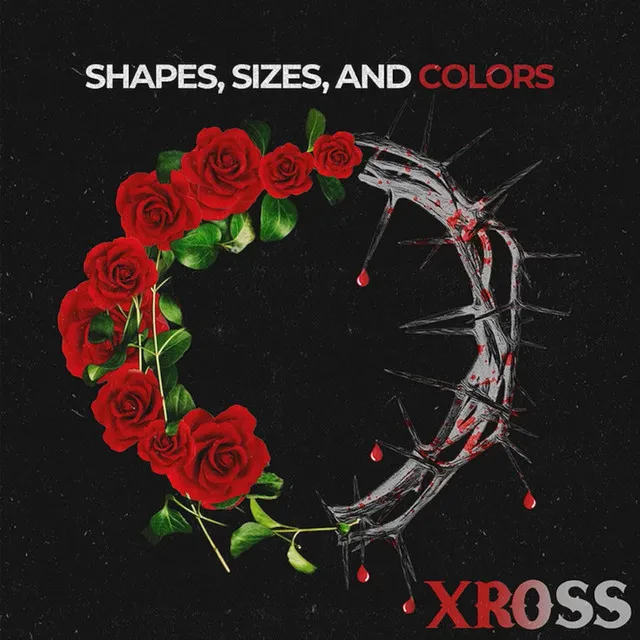 Shapes, Sizes, & Colors