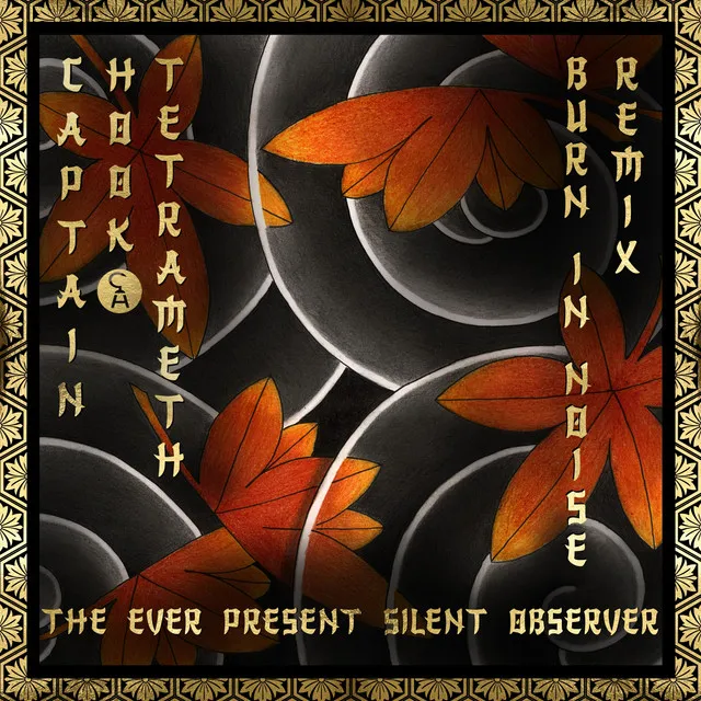 The Ever Present Silent Observer - Burn in Noise remix