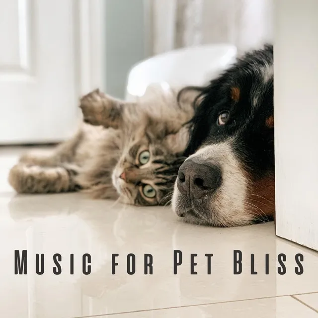 Music for Pet Bliss: Serenade of Contentment