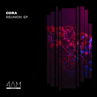 Reunion by Odra