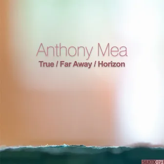 True / Far Away / Horizon by Anthony Mea